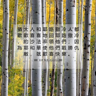 Picture 07 - 歷 代 志 下 20:27 CUVT - 猶 大 人 和 耶 路 撒 冷 人 都 歡 歡 - Bible Verse Picture