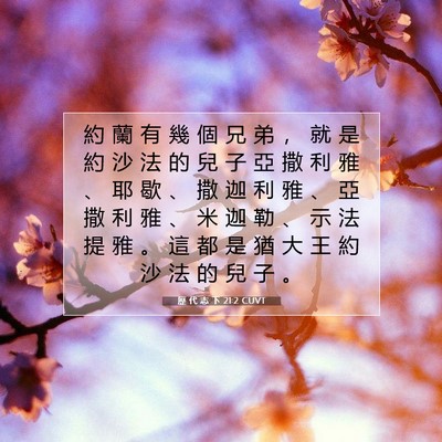 Picture 07 - 歷 代 志 下 21:2 CUVT - 約 蘭 有 幾 個 兄 弟 ， 就 是 約 沙 - Bible Verse Picture