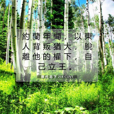 Picture 07 - 歷 代 志 下 21:8 CUVT - 約 蘭 年 間 ， 以 東 人 背 叛 猶 大 - Bible Verse Picture