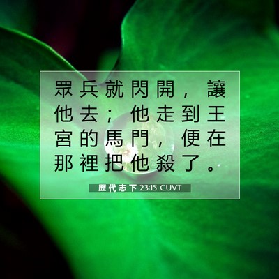 Picture 07 - 歷 代 志 下 23:15 CUVT - 眾 兵 就 閃 開 ， 讓 他 去 ； 他 走 - Bible Verse Picture