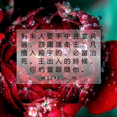 Picture 07 - 歷 代 志 下 23:7 CUVT - 利 未 人 要 手 中 各 拿 兵 器 ， 四 - Bible Verse Picture
