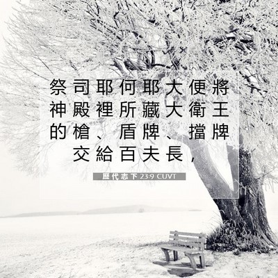 Picture 07 - 歷 代 志 下 23:9 CUVT - 祭 司 耶 何 耶 大 便 將 神 殿 裡 所 - Bible Verse Picture