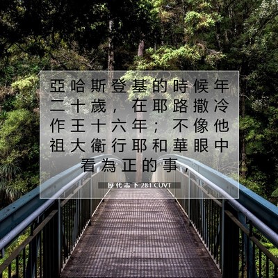 Picture 07 - 歷 代 志 下 28:1 CUVT - 亞 哈 斯 登 基 的 時 候 年 二 十 歲 - Bible Verse Picture