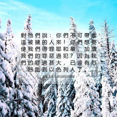 Picture 07 - 歷 代 志 下 28:13 CUVT - 對 他 們 說 ： 你 們 不 可 帶 進 這 - Bible Verse Picture