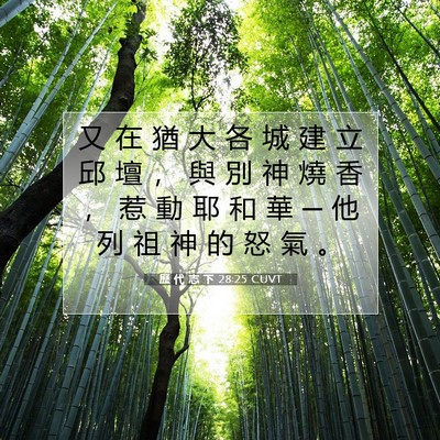 Picture 07 - 歷 代 志 下 28:25 CUVT - 又 在 猶 大 各 城 建 立 邱 壇 ， 與 - Bible Verse Picture
