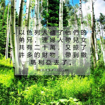 Picture 07 - 歷 代 志 下 28:8 CUVT - 以 色 列 人 擄 了 他 們 的 弟 兄 ， - Bible Verse Picture
