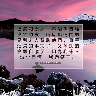 Picture 07 - 歷 代 志 下 29:34 CUVT - 但 祭 司 太 少 ， 不 能 剝 盡 燔 祭 - Bible Verse Picture