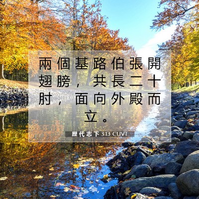 Picture 07 - 歷 代 志 下 3:13 CUVT - 兩 個 基 路 伯 張 開 翅 膀 ， 共 長 - Bible Verse Picture
