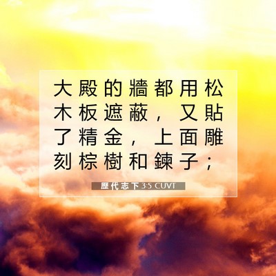 Picture 07 - 歷 代 志 下 3:5 CUVT - 大 殿 的 牆 都 用 松 木 板 遮 蔽 ， - Bible Verse Picture