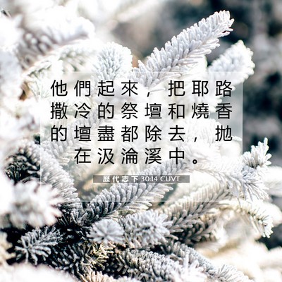 Picture 07 - 歷 代 志 下 30:14 CUVT - 他 們 起 來 ， 把 耶 路 撒 冷 的 祭 - Bible Verse Picture