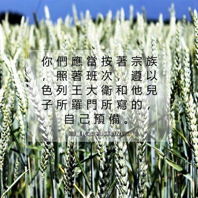 Picture 07 - 歷 代 志 下 35:4 CUVT - 你 們 應 當 按 著 宗 族 ， 照 著 班 - Bible Verse Picture