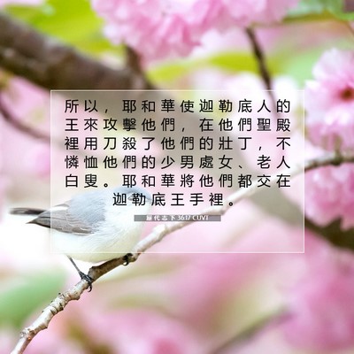 Picture 07 - 歷 代 志 下 36:17 CUVT - 所 以 ， 耶 和 華 使 迦 勒 底 人 的 - Bible Verse Picture