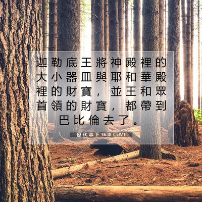 Picture 07 - 歷 代 志 下 36:18 CUVT - 迦 勒 底 王 將 神 殿 裡 的 大 小 器 - Bible Verse Picture