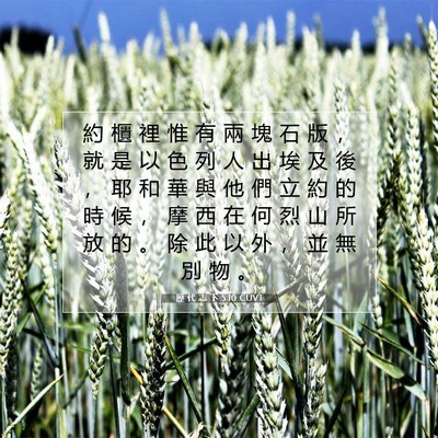 Picture 07 - 歷 代 志 下 5:10 CUVT - 約 櫃 裡 惟 有 兩 塊 石 版 ， 就 是 - Bible Verse Picture