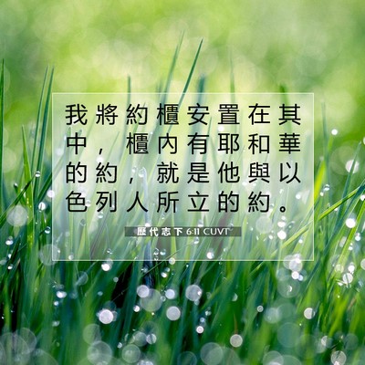 Picture 07 - 歷 代 志 下 6:11 CUVT - 我 將 約 櫃 安 置 在 其 中 ， 櫃 內 - Bible Verse Picture