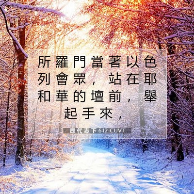 Picture 07 - 歷 代 志 下 6:12 CUVT - 所 羅 門 當 著 以 色 列 會 眾 ， 站 - Bible Verse Picture