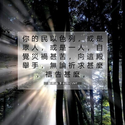Picture 07 - 歷 代 志 下 6:29 CUVT - 你 的 民 以 色 列 ， 或 是 眾 人 ， - Bible Verse Picture