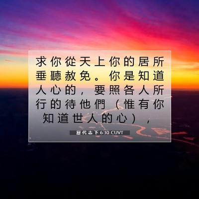 Picture 07 - 歷 代 志 下 6:30 CUVT - 求 你 從 天 上 你 的 居 所 垂 聽 赦 - Bible Verse Picture
