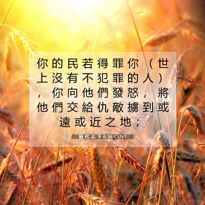 Picture 07 - 歷 代 志 下 6:36 CUVT - 你 的 民 若 得 罪 你 （ 世 上 沒 有 - Bible Verse Picture