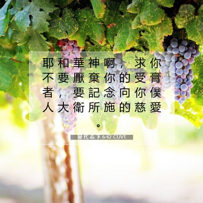 Picture 07 - 歷 代 志 下 6:42 CUVT - 耶 和 華 神 啊 ， 求 你 不 要 厭 棄 - Bible Verse Picture