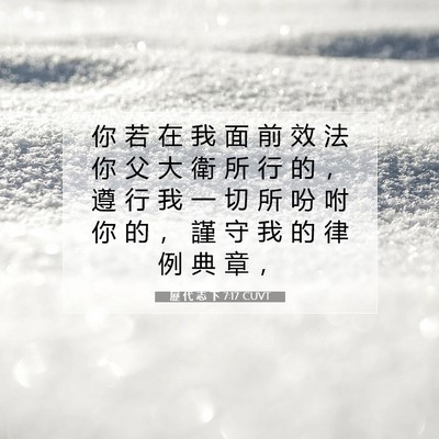 Picture 07 - 歷 代 志 下 7:17 CUVT - 你 若 在 我 面 前 效 法 你 父 大 衛 - Bible Verse Picture