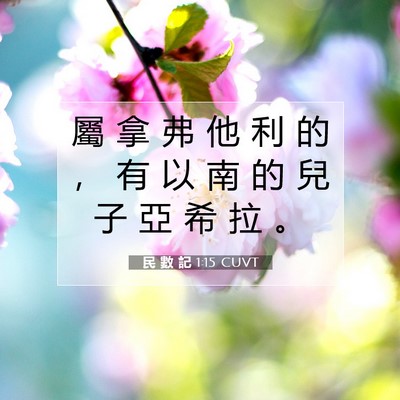 Picture 07 - 民 數 記 1:15 CUVT - 屬 拿 弗 他 利 的 ， 有 以 南 的 兒 - Bible Verse Picture
