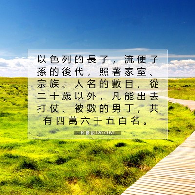Picture 07 - 民 數 記 1:20 CUVT - 以 色 列 的 長 子 ， 流 便 子 孫 的 - Bible Verse Picture