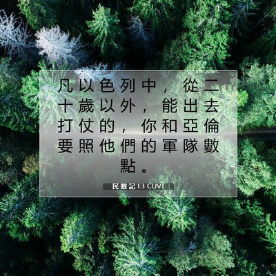 Picture 07 - 民 數 記 1:3 CUVT - 凡 以 色 列 中 ， 從 二 十 歲 以 外 - Bible Verse Picture