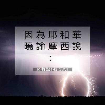 Picture 07 - 民 數 記 1:48 CUVT - 因 為 耶 和 華 曉 諭 摩 西 說 - Bible Verse Picture