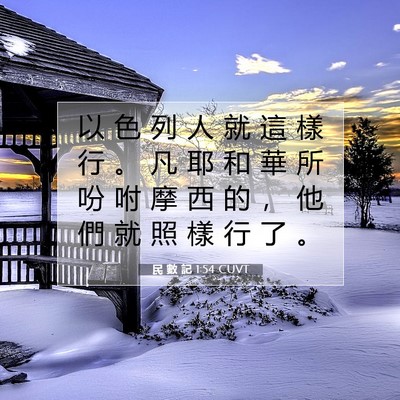 Picture 07 - 民 數 記 1:54 CUVT - 以 色 列 人 就 這 樣 行 。 凡 耶 和 - Bible Verse Picture