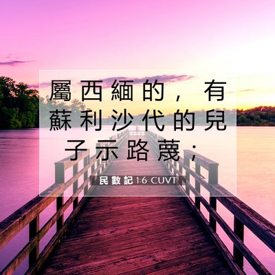 Picture 07 - 民 數 記 1:6 CUVT - 屬 西 緬 的 ， 有 蘇 利 沙 代 的 兒 - Bible Verse Picture