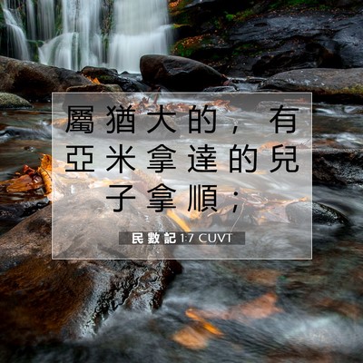 Picture 07 - 民 數 記 1:7 CUVT - 屬 猶 大 的 ， 有 亞 米 拿 達 的 兒 - Bible Verse Picture