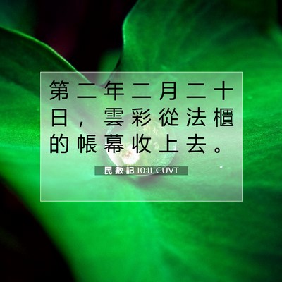 Picture 07 - 民 數 記 10:11 CUVT - 第 二 年 二 月 二 十 日 ， 雲 彩 從 - Bible Verse Picture