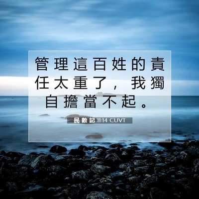 Picture 07 - 民 數 記 11:14 CUVT - 管 理 這 百 姓 的 責 任 太 重 了 ， - Bible Verse Picture