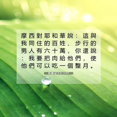 Picture 07 - 民 數 記 11:21 CUVT - 摩 西 對 耶 和 華 說 ： 這 與 我 同 - Bible Verse Picture