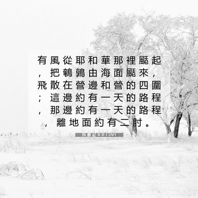 Picture 07 - 民 數 記 11:31 CUVT - 有 風 從 耶 和 華 那 裡 颳 起 ， 把 - Bible Verse Picture
