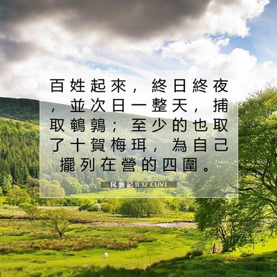 Picture 07 - 民 數 記 11:32 CUVT - 百 姓 起 來 ， 終 日 終 夜 ， 並 次 - Bible Verse Picture