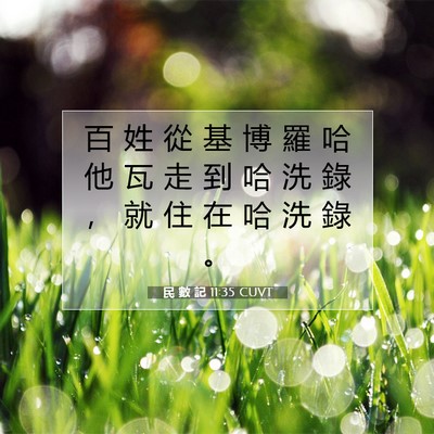 Picture 07 - 民 數 記 11:35 CUVT - 百 姓 從 基 博 羅 哈 他 瓦 走 到 哈 - Bible Verse Picture