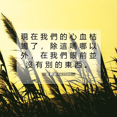Picture 07 - 民 數 記 11:6 CUVT - 現 在 我 們 的 心 血 枯 竭 了 ， 除 - Bible Verse Picture