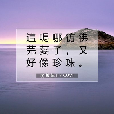 Picture 07 - 民 數 記 11:7 CUVT - 這 嗎 哪 彷 彿 芫 荽 子 ， 又 好 像 - Bible Verse Picture