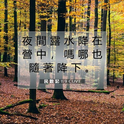 Picture 07 - 民 數 記 11:9 CUVT - 夜 間 露 水 降 在 營 中 ， 嗎 哪 也 - Bible Verse Picture
