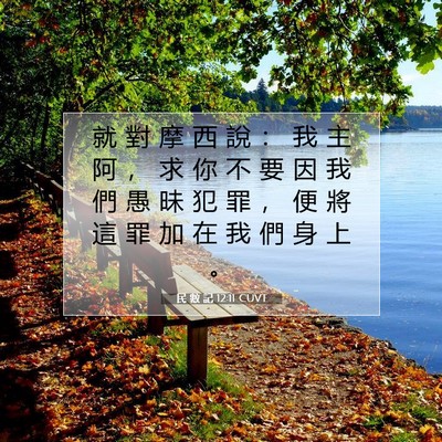 Picture 07 - 民 數 記 12:11 CUVT - 就 對 摩 西 說 ： 我 主 阿 ， 求 你 - Bible Verse Picture