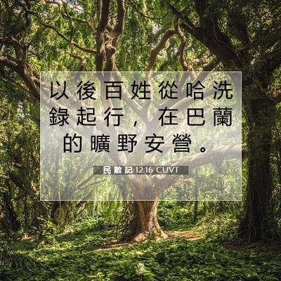 Picture 07 - 民 數 記 12:16 CUVT - 以 後 百 姓 從 哈 洗 錄 起 行 ， 在 - Bible Verse Picture