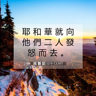 Picture 07 - 民 數 記 12:9 CUVT - 耶 和 華 就 向 他 們 二 人 發 怒 而 - Bible Verse Picture