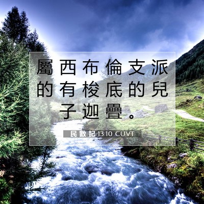 Picture 07 - 民 數 記 13:10 CUVT - 屬 西 布 倫 支 派 的 有 梭 底 的 兒 - Bible Verse Picture