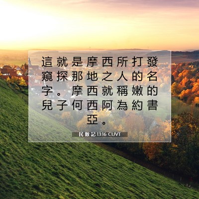 Picture 07 - 民 數 記 13:16 CUVT - 這 就 是 摩 西 所 打 發 窺 探 那 地 - Bible Verse Picture