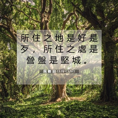 Picture 07 - 民 數 記 13:19 CUVT - 所 住 之 地 是 好 是 歹 ， 所 住 之 - Bible Verse Picture