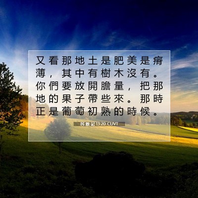 Picture 07 - 民 數 記 13:20 CUVT - 又 看 那 地 土 是 肥 美 是 瘠 薄 ， - Bible Verse Picture