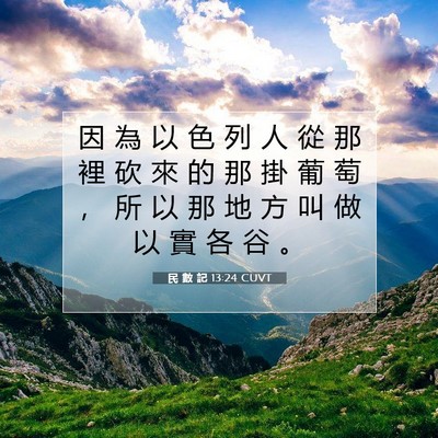 Picture 07 - 民 數 記 13:24 CUVT - 因 為 以 色 列 人 從 那 裡 砍 來 的 - Bible Verse Picture