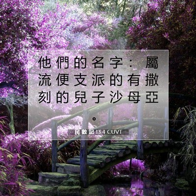 Picture 07 - 民 數 記 13:4 CUVT - 他 們 的 名 字 ： 屬 流 便 支 派 的 - Bible Verse Picture